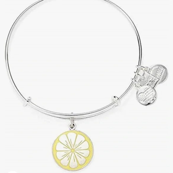 Alex and Ani Charity by Design Zest for Life II Charm Bangle Shiny Silver Finish - Picture 2 of 3